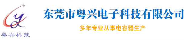 安規(guī)電容器