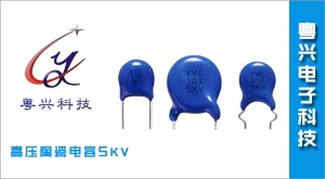 高壓陶瓷電容5KV